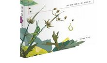 我是现实的一棵小小的种子_700字