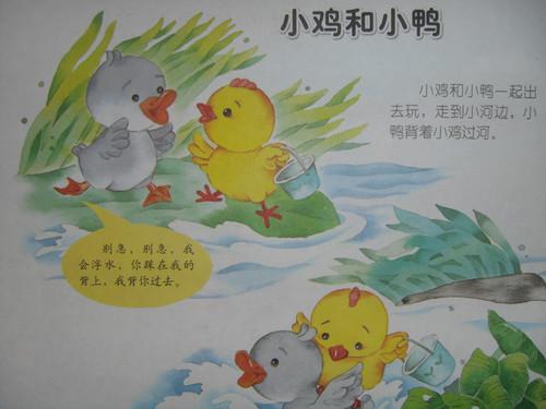阅读_650字后，“鸡肉和鸭子”阅读