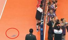 家庭小插曲_650字