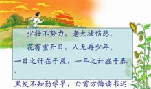 《和时间赛跑》读后感_250字