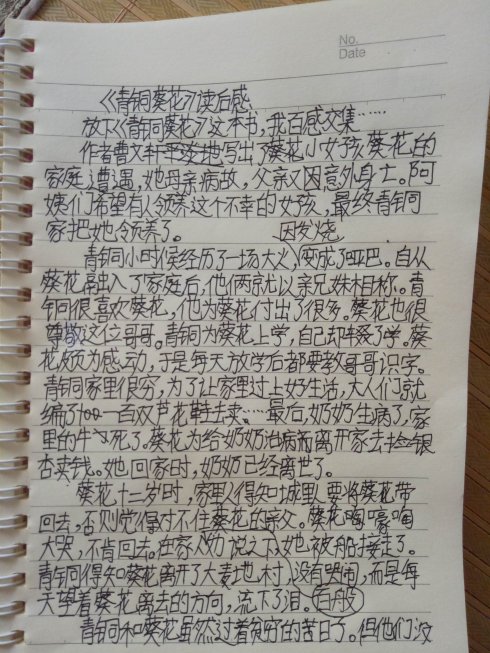 读完_650字后，“青铜向日葵”阅读