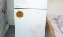 神奇的电冰箱_450字