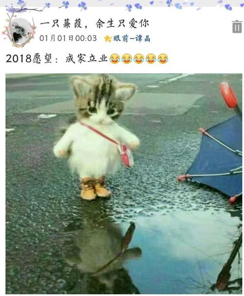 12月有奖品宣传：特别生日礼物_1200字