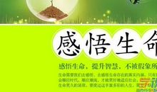 [PK赛] 关于感悟的作文：感悟生命_700字