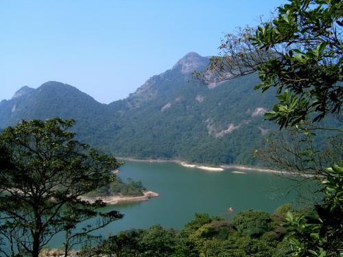 家乡的风景_350字