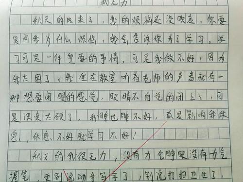 耐力组成：用“忍受”_800字