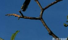 把迷失的心带回家（第二章）魔法试炼_900字