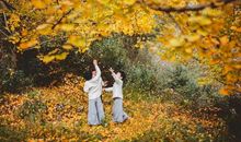 窸窣飘零透些微黄是叶子 _1500字