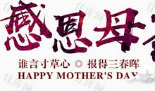 感恩母亲2_900字