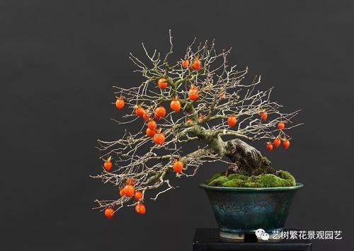 思考像鲜花_750字