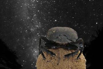 律师数量，看着晚上_1200字