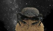 数不见的星，望不到的夜_1200字