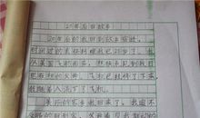 小学六年级暑假作文——快乐的暑假_800字