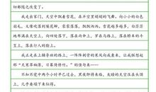 走自己的路_400字