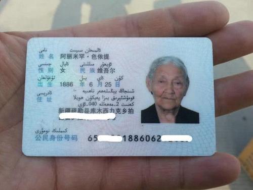 如果她是中国人_350字