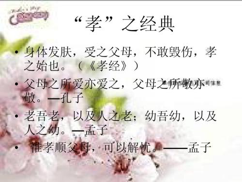 我的生活有几十岁_550字