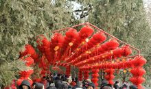 庙会看鬼_1000字