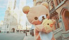 我读懂了“珍惜幸福”