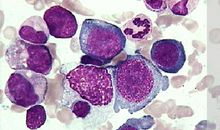 不是秘密的秘密_250字