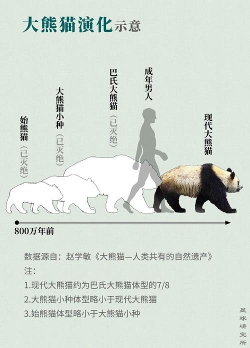 中国少年_750字