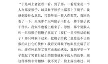 关于夏天的作文：快乐的夏天_450字