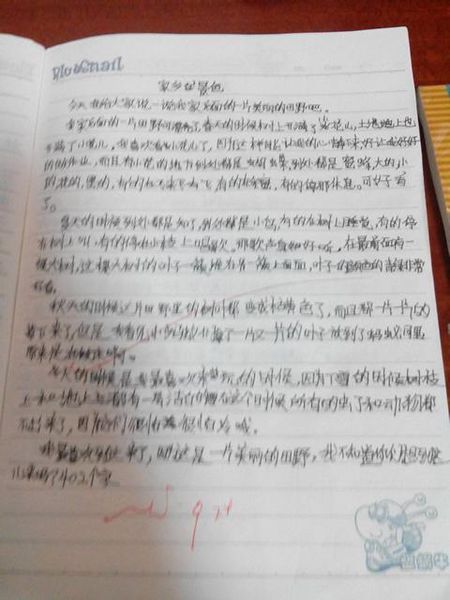 撕裂_450字