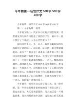 12月有一个奖品论文：2010年的第一雪_600字