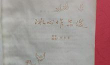 冰心作品选：“无限之生”的界线