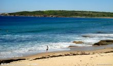 大海的魅力_450字