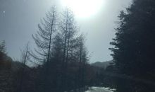 等待——下雪_250字