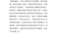 我忘不了它_1000字