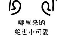 清点我的情窦_900字