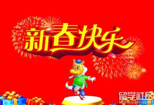 冬季假日集：我的家庭春节新年前夕_400字