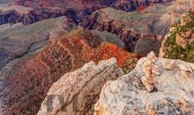 我想环游世界_450字