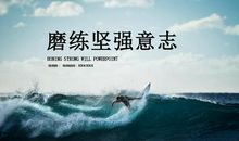 成功需要顽强的意志_1000字