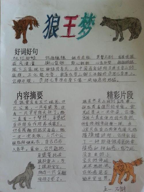 阅读“范荣的紫罗兰”_800字