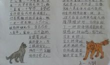 读《虚荣的紫罗兰》有感_800字