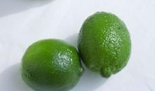 快乐的旅行_700字