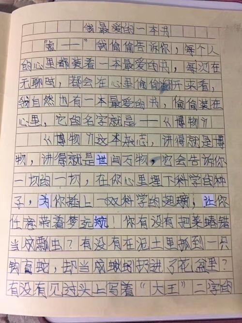 写作功课_200字