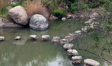 北京后花园游记_500字