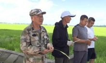 李鑫垚个人简介