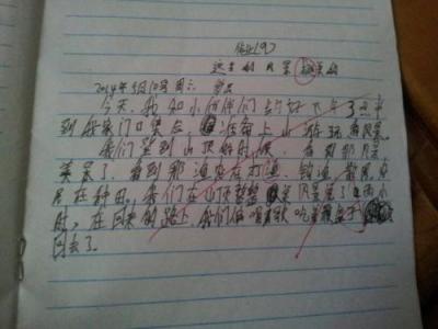我们班的明星们_450字