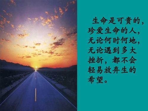 非常珍贵的_550字