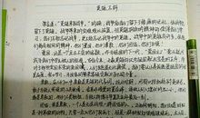 开学的感受_400字