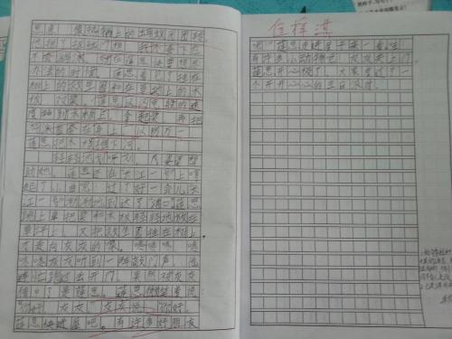 小白兔子日记_350字