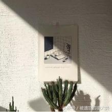 我们都是团队领导者，监督各自的群体，并认真对待。今天，由于成员任务的问题，我们已经争吵，舌头之间的战争即将完全爆炸。