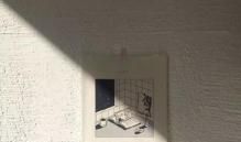 [7月渴望]我渴望宽容_750字