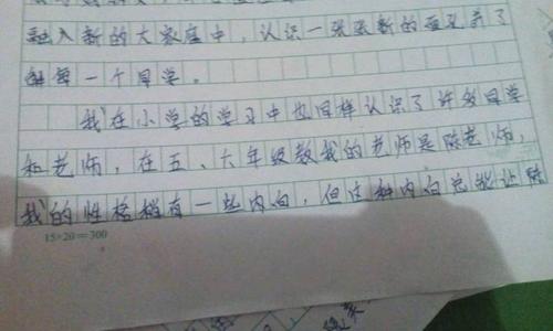 前三个主题组成：学校的第一天_900字