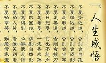 我对人生的感悟_500字