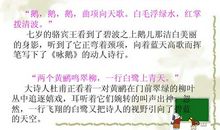 倾听大自然_600字